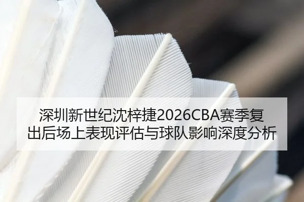 shen-zhen-xin-shi-ji-shen-zi-jie-sai-ji-fu-chu-hou-chang-shang-biao-xian-ping-gu-yu-qiu-dui-ying-xiang-shen-du-fen-xi-2-329.jpg
